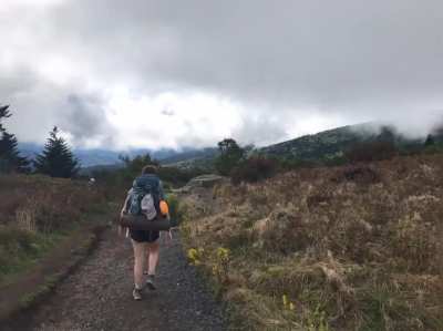 Someone please help me identify this creature that appears to be running in top left of video. Didn’t notice it until I went through my pictures. This was a ‘live photo’ that I turned into a video. Taken at the top of Roan Mountain last wknd in Tennessee.