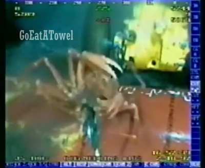 Crab gets sucked into the shadow realm