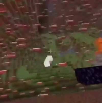 firework