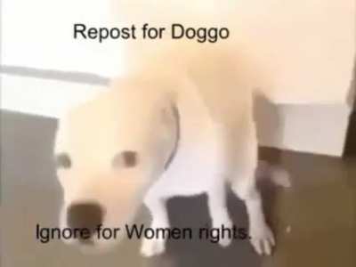 Ok