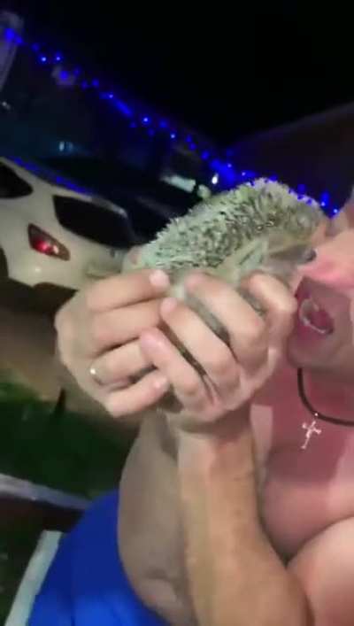 🦔 bites 👃