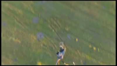Ukrainian drone managed to steal/recover 2 Russian drones and bring them back to their own position