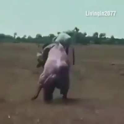 Hmmmmmmmm
