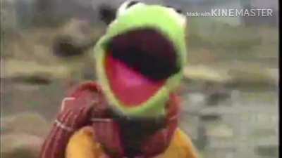Kermit rides a bike