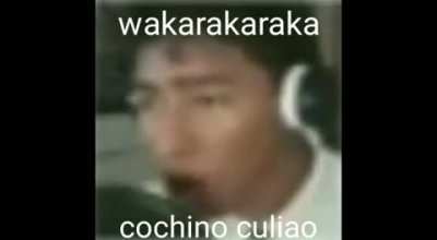 Xd