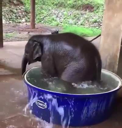 Happy bath time