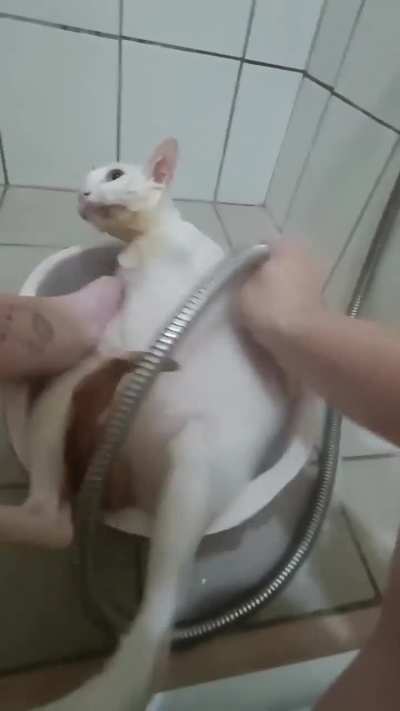 He will be washed