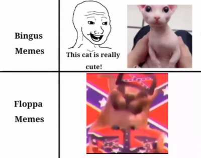 Floppa