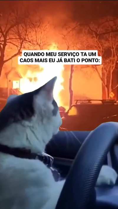 se ja bati o ponto ovo vazar