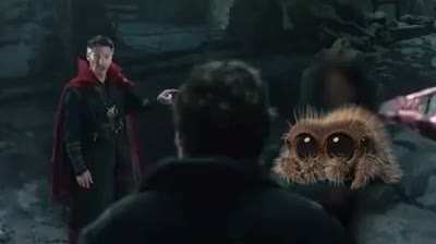 Spiderverse is real
