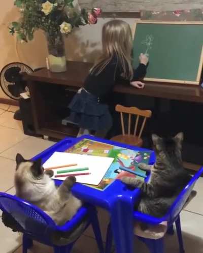 Teachers pets.