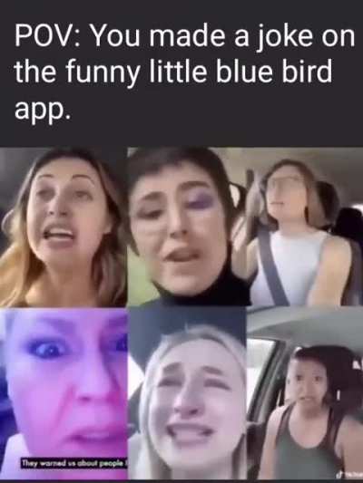 Fuck blue bird