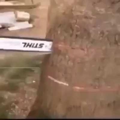 Bruh