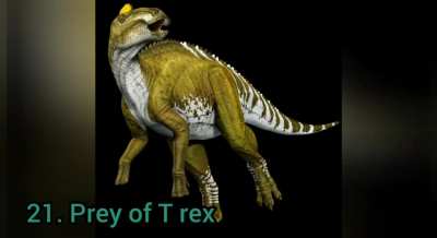 50 variations of T.rex