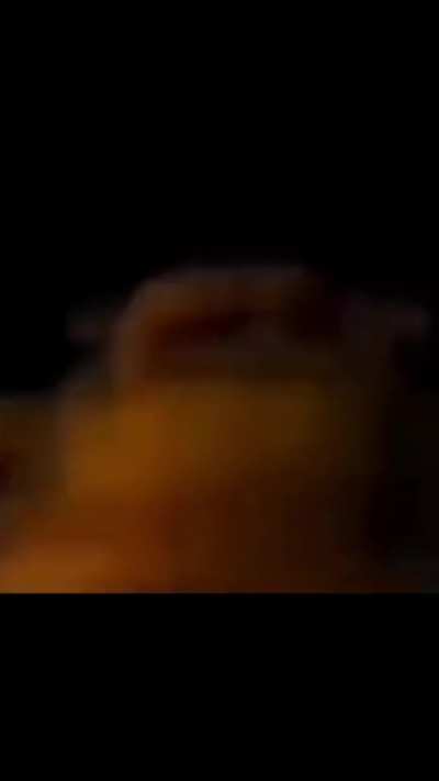 Golden freddy