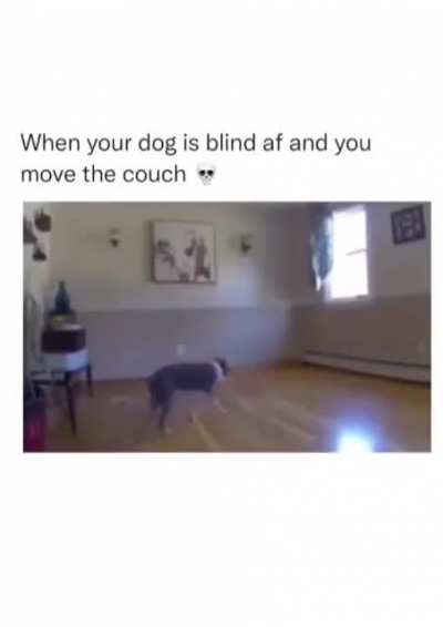 RIP doggo