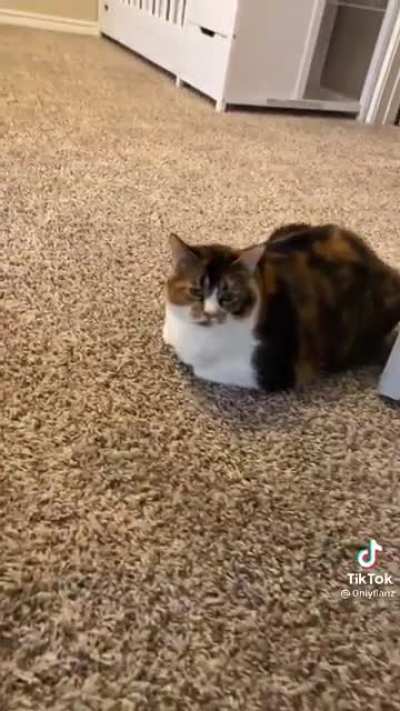 🤔💭