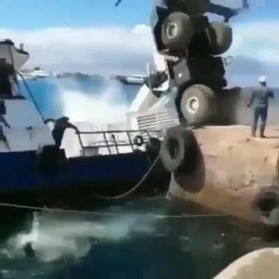 I'm pretty sure cats don't like to fall into the water