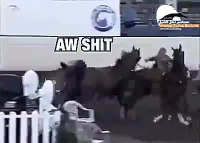 Mayhem in the arena
