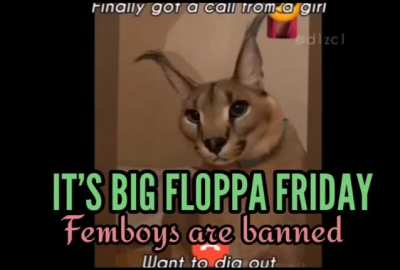 Floppa Friday