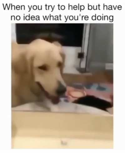 Will this work?