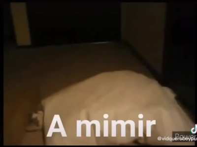 orslokx - Video #0762