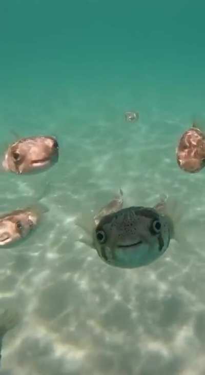 me_irl
