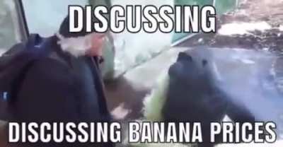 Banana Prices go brrrrrr