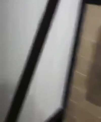 wubbawubbawubba