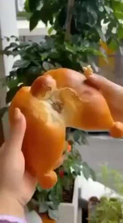 Dog arse (with realistic shit!)