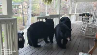 Family drops by to check out the grill