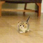 Cuteness overload