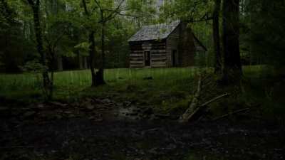 A Cabin In The Forest 🌲