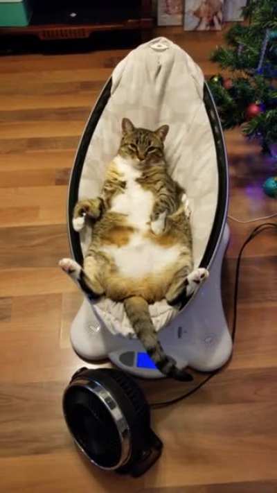 He Chonk