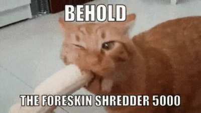 Behold