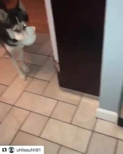 They put it down