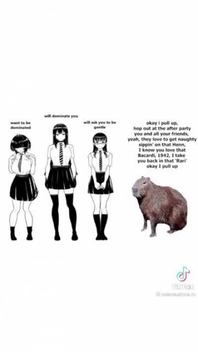 Capymeme