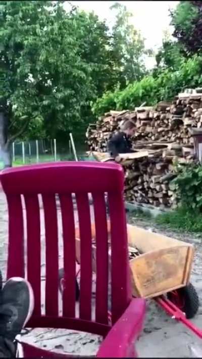What’s for dinner Pavlov