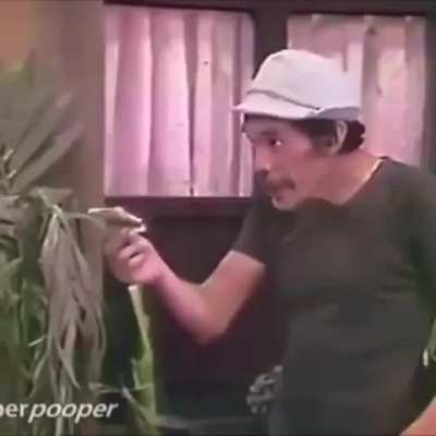 Tá aí, 3 memes
