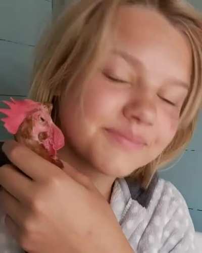 Happy chicken being cuddled