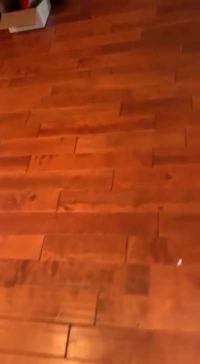 Aaaaa