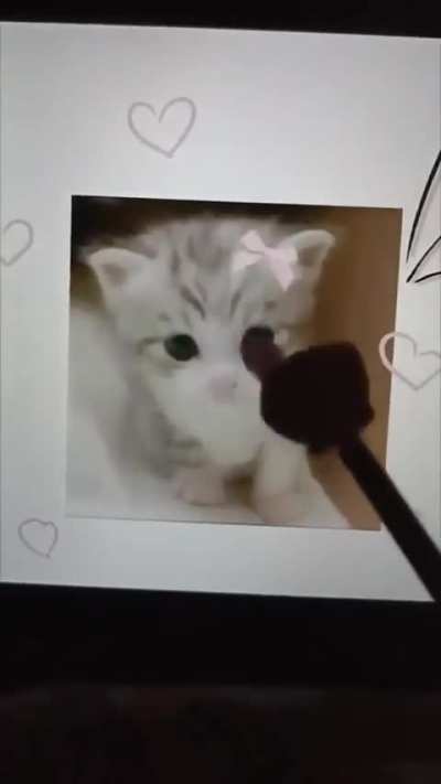 You btw