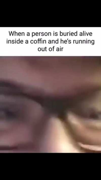 Someone let me out
