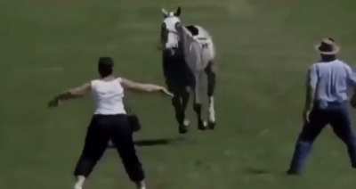 That must’ve hurt