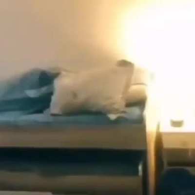Nooo papurri