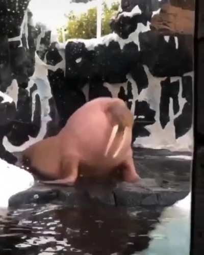 Horker Unit