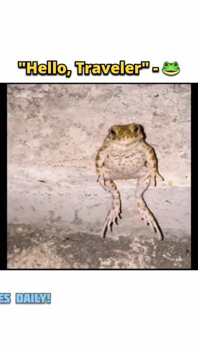 🐸