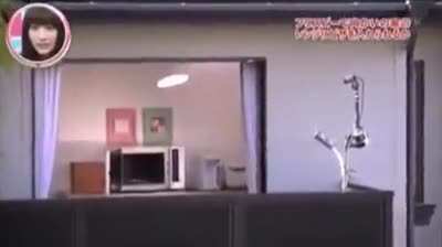 Professional Japanese frisbee thrower throws a pizza from one house to another house's microwave