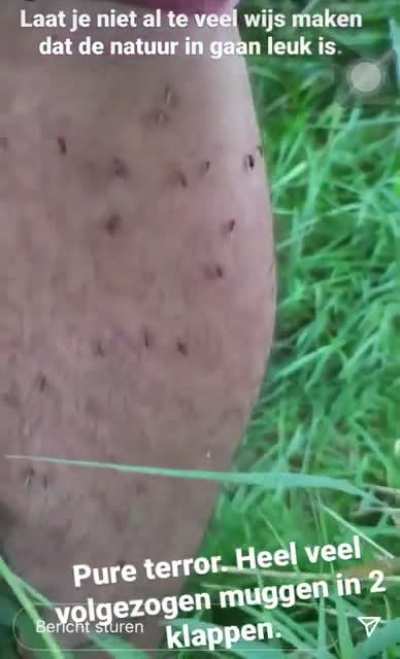 My friend doing fieldwork