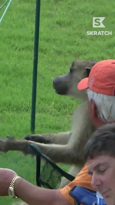 Golf: a game for anybody🐵👀